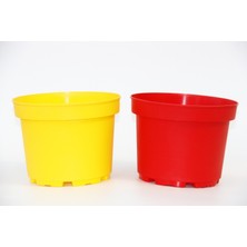 Tunç Botanik SARI KIRMIZI SAKSI SETİ - 2 RENK 20 SAKSI