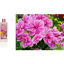 Tunç Botanik TROPİKAL BİTKİ BESİNİ 3 ADET - ÇİÇEK AÇTIRAN 1000 ML