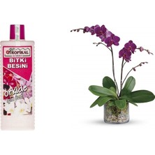 Tunç Botanik TROPİKAL ORKİDE BİTKİ BESİNİ - 1000 ML