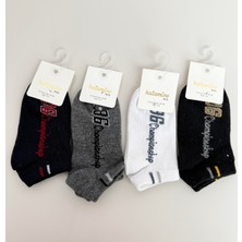 Bon Chic Baby 4'lü Çorap 3-4 Yaş