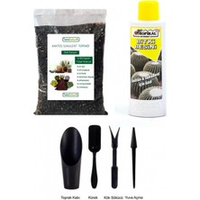 Tunç Botanik KAKTÜS SUKULENT SETİ ( 3 ÜRÜNLÜ DİKİM VE BAKIM SETİ)