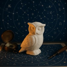 Decostone Mini Dekoratif Baykuş