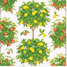 Caspari Citrus Topiaries Paper Cocktail Napkins In White - 20 Per Package
