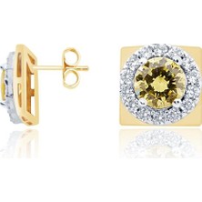 Diamond Line-Gülaylar 14 Ayar Altın Renkli Taşlı Küpe