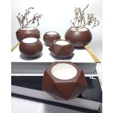 Emily Samy Antiquity Gold Ev ve Ofis Aksesuarı Sukulent/kaktüs Saksı, Mumluk Set Dekoratif Obje 6 Parça