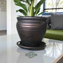 BitkiTÜRK Büyük Boy Beton Fıçı Saksı ve Altlık Seti 24CM×22CM