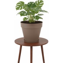 Bliss 6 Lt Tabaklı Izgaralı Dekoratif Plastik Yalı Saksı