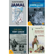 Dara Yayınları Selahattin Demirtaş - Jamal - Dımdım Kalesi - Kürt Çoban - Kürtlerle Ilgili Romanlar Seti