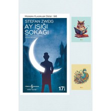 Dara Yayınları Ay Işığı Sokağı - Stefan Zweig 9786052950722 - Not Defterli Seti