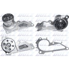 Dolz R241 Devırdaım Pompası Mercedes M282 X247 W177 W247 C118 H247 .renault Talısman 15> Megane Iv 15> Clıo V 19> Duster Iı 19> Qashqaı Iı 18> Mıcra V 18> 1.0tce H4D 1.3 Tce H5H A2822000600-210109334R