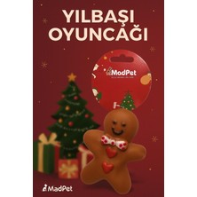 Evcil Hayvan Yılbaşı Konspeti Sesli Bisküvi