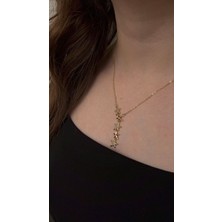 Çelik Gold Yıldız Detaylı Taşlı Y Kolye