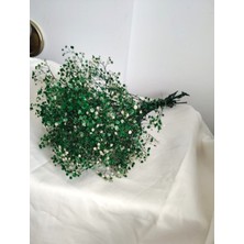 Birlik Cipso Çiçeği Şoklanmış Yeşil A Kalite