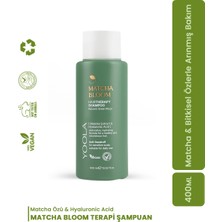 Matcha Bloom Antioksidan Nemlendirici Hairtherapy Şampuan 400 ml