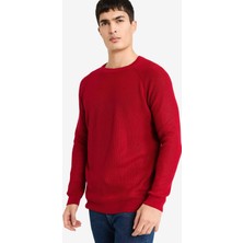 DeFacto Standart Fit Bisiklet Yaka Triko Kazak A8458AX25WN