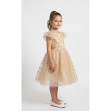 Mnk Baby & Kids Narince Kız Çocuk Abiye Elbise M00778