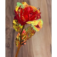 Solmayan Gül  Gerçekçi Görünüm, Uzun Ömürlü, Buket & Hediye Paketli Romantik Hediye  Myk Hediye ve Sanat Atölyesi