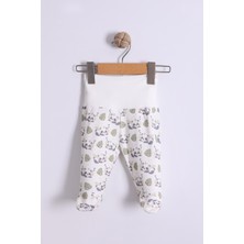 Kidello Panda ve Yaprak Baskılı Patikli Erkek Bebek Tek Alt