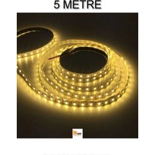 5 Metre Iç Mekan Işıklandırmalı Rulo Şerit Led, 12V, Yapışkan Bantlı