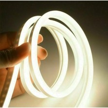 5 Metre Neon Esnek Şerit LED 24V, Parlak ve Renkli Aydınlatma