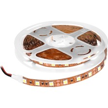 12V Iç Mekan Şerit LED Bakır Zemin 5 mt 6500K NL115B-12