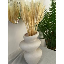 Ziva Dekor Dekoratif Buğday Başağı 50 Gram