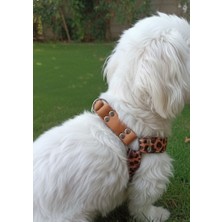 Balkonda Köpek Göğüs Tasması Küçük, Orta ve Büyük Irk Ayarlamalı Kolon Kordon & Deri Leopar Desen