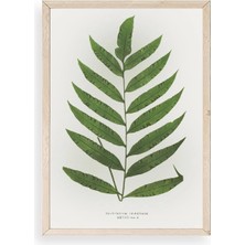 Yaprak Ahşap Çerçeveli Tablo