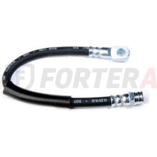 Fren Hortumu Ön Doğan Kartal Şahin