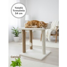 Dayanıklı 54 cm Kedi Tırmalama Direği ve Kedi Yatağı| 45X50 cm Geniş Zemini ile Devrilmez | Kalın Jüt Ipli Kedi Tırmalama | Yavru ve Yetişkin Kedilere Özel Konfor  Evcil Hayvan Oyun ve Dinlenme Ürünü
