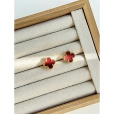 Youes Jewelry 316L Çelik Gold Kadın Küpe