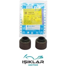 Bajaj Pulsar Ns 200 Sübap Keçe ISK056