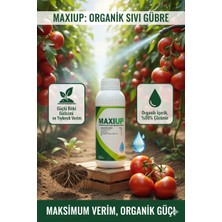Maxiup Bitkisel Sıvı Organik Gübre - %30 Organik Madde Içerikli Toprak ve Kök Canlandırıcı