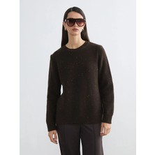 LC Waikiki Lcwaıkıkı Classic Kahverengi Bisiklet Yaka Pul Işlemeli Kadın Triko Kazak