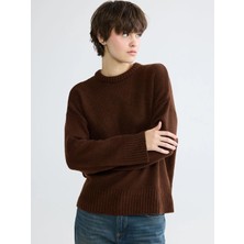 LC Waikiki Xsıde Kahverengi Bisiklet Yaka Kadın Triko Kazak