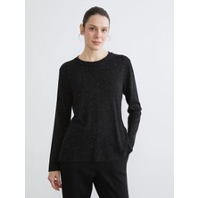 LC Waikiki Lcwaıkıkı Classic Siyah Bisiklet Yaka Parlak Görünümlü Kadın Triko Kazak