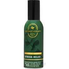 Bath & Body Works Eucalyptus Spearmint Oda Spreyi 42.5 G