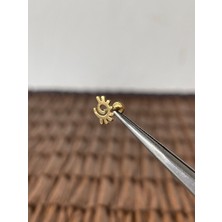 Aida Jewelss 316 L Cerrahi Çelik Güneş Altın Tragus Helix Piercing