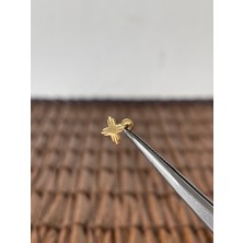 Aida Jewelss 316 L Cerrahi Çelik Kızılderili Güneşi Altın Tragus Helix Piercing