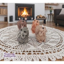 El Yapımı Kokulu Sincap Figürlü Dekoratif Mum 4 Adet