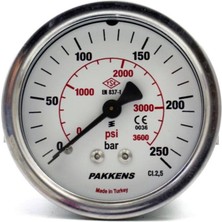 50MM 0-250 Bar Panotipi Kuru Manometre G 1/8 Inç, Yüksek Hassasiyet