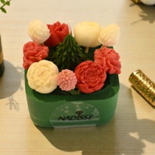 Nadisse Çiçek & Yılbaşı Ağacı Premium Mum Seti