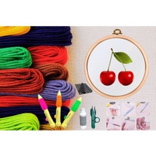 SHC4200 Punch Seti Nakış Seti Kasnaklı Kendin Yap Seti Seri 12