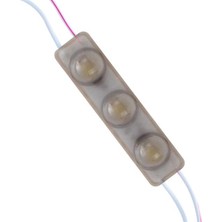 12 Volt 1.5 Watt Soğuk Beyaz Yanıp Sönen Tek Renk 6916 - 2835 69 x 16 mm IP65 16