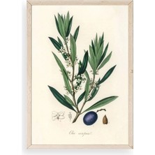 Yaprak Ahşap Çerçeveli Tablo