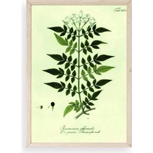 Yapraklar Ahşap Çerçeveli Tablo