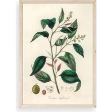 Yaprak Ahşap Çerçeveli Tablo