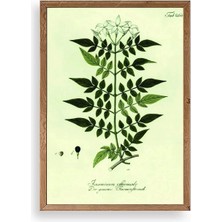 Yapraklar Ahşap Çerçeveli Tablo