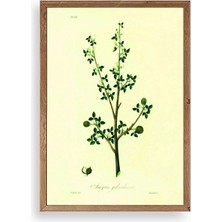 Yapraklar Ahşap Çerçeveli Tablo