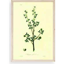 Yapraklar Ahşap Çerçeveli Tablo